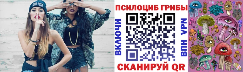 ОМГ ОМГ ССЫЛКА  Салават  Псилоцибиновые грибы ЛСД 