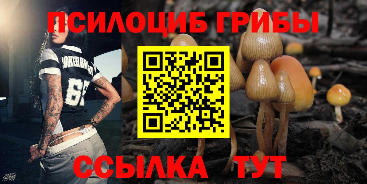Галлюциногенные грибы Magic Shrooms  Вход с VPN  Галлюциногенные грибы мухоморы  Салават 