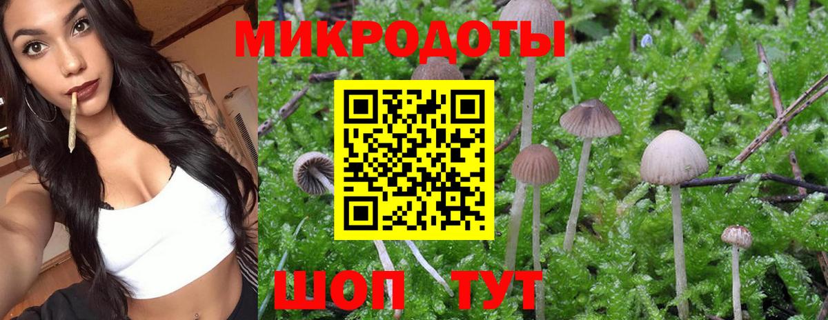 Псилоцибиновые грибы мицелий Салават